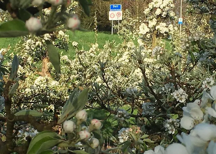 Onze Logeerkamer Accommodatie bij particulieren